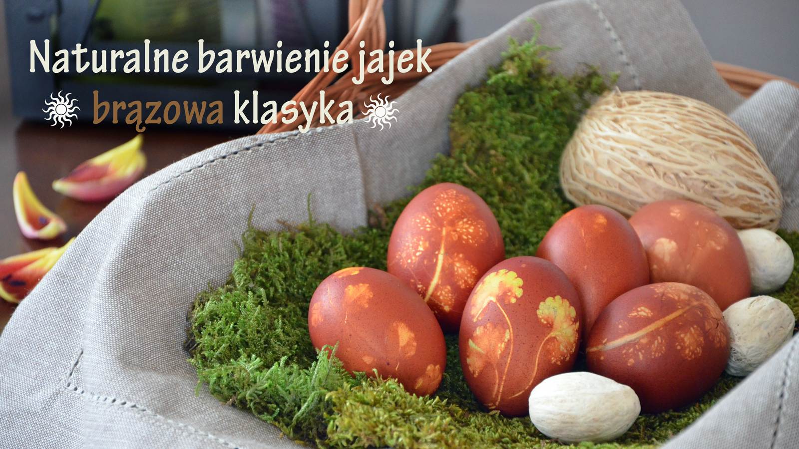Naturalne barwienie jajek - brązowa klasyka, ilustracja