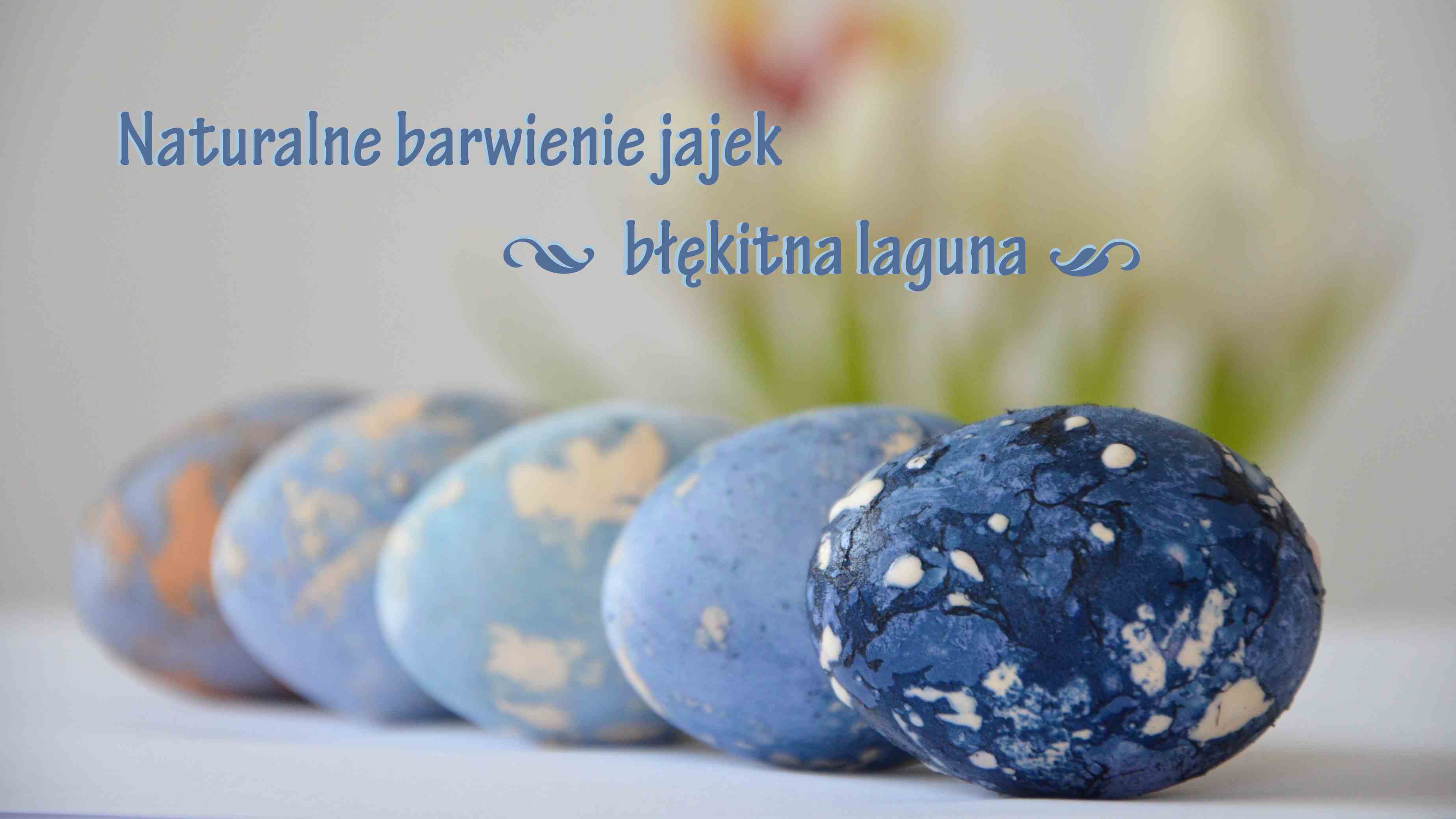 Naturalne barwienie jajek, błękitna laguna, ilustracja